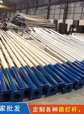 LED路灯6米7米8米市电路灯12米传统普通单杆双臂路灯