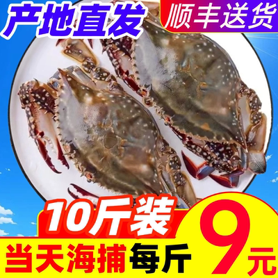 梭子蟹新鲜海捕公蟹超大特大母蟹红膏蟹冷冻飞蟹海鲜包肥整箱10斤