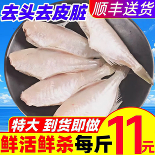 耗儿鱼新鲜剥皮鱼鲜活速冻马面鱼小中大号海鱼扒皮鱼老鼠鱼玻璃鱼