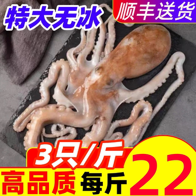 八爪鱼超大长腿章鱼鲜活新鲜冷冻整只网红大爆头商用水产海鲜生鲜