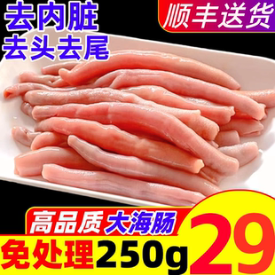 海肠新鲜海肠子大连海肠急冻海肠皮捞饭烟台沙虫免处理海鲜水产