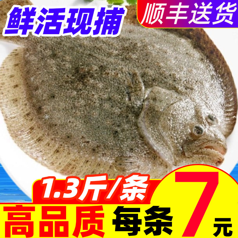 多宝鱼超大比目鱼鲜活冷冻八宝鱼偏口鱼鲽鱼鸦片鱼深海鱼水产海鲜