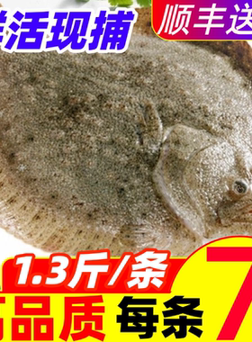 拓海翁新鲜多宝鱼海鲜水产