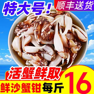 沙蟹钳螃蟹腿梭子蟹钳新鲜蟹腿蟹爪醉蟹钳捞汁小海鲜原料海鲜商用