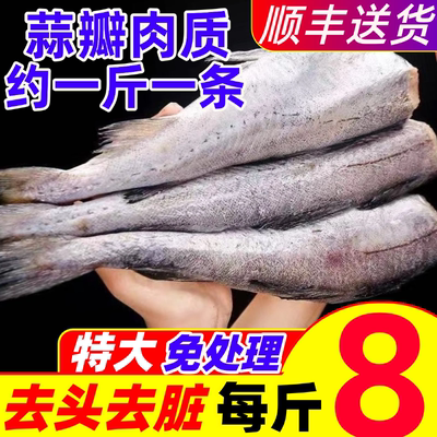 明太鱼新鲜冷冻深海无头鳕鱼狭鳕鱼现杀海鱼海鲜水产宝宝辅食整箱