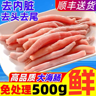 海肠新鲜海肠子大连海肠急冻海肠皮捞饭烟台沙虫免处理水产海鲜