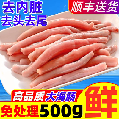 海肠新鲜海肠子大连海肠急冻海肠皮捞饭烟台沙虫免处理海鲜水产