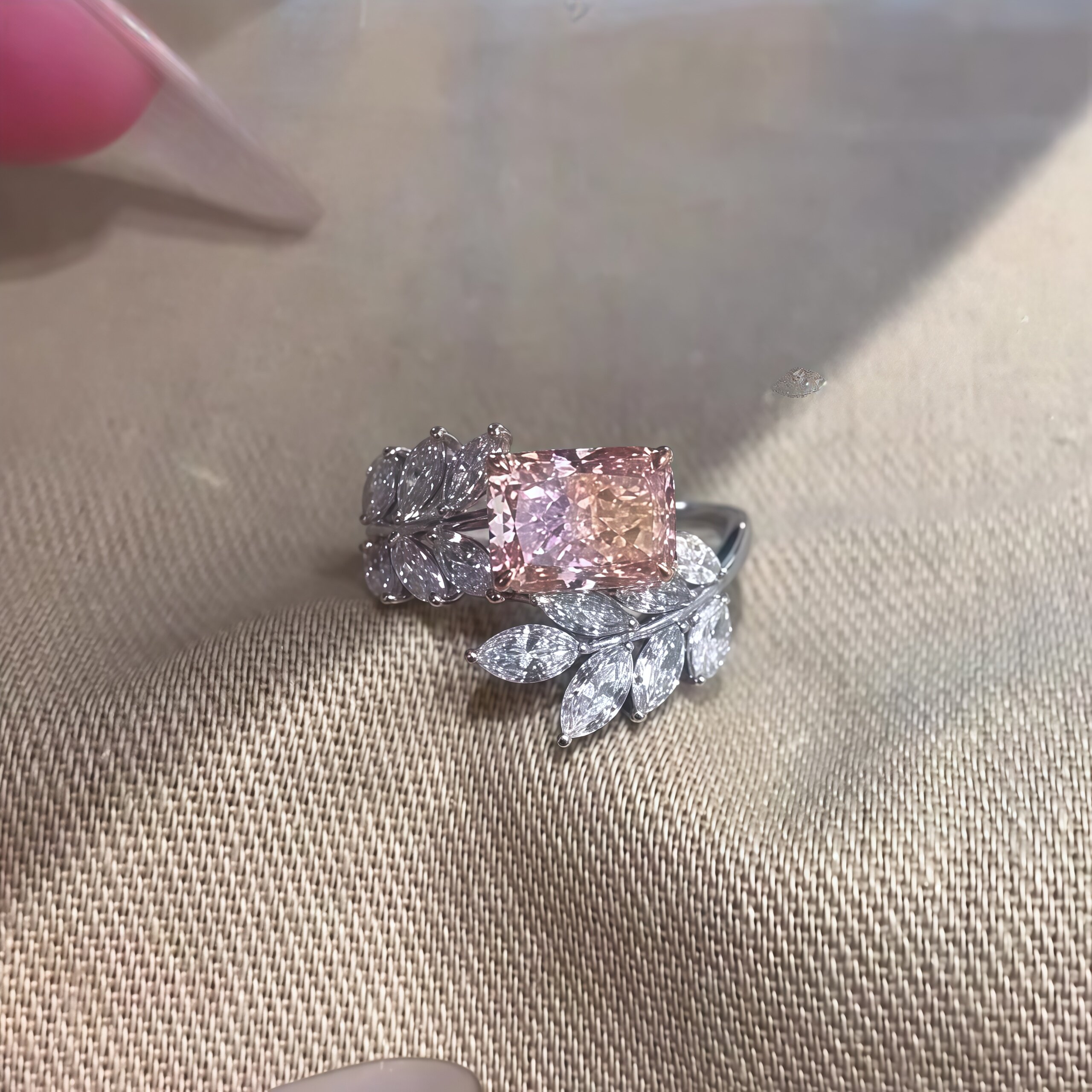 藤蔓上的粉霞入晨曦初绽图片