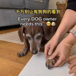 宠物爪印纪念相框diy狗狗掌印纪念摆台猫咪爪脚印印泥留念小礼物