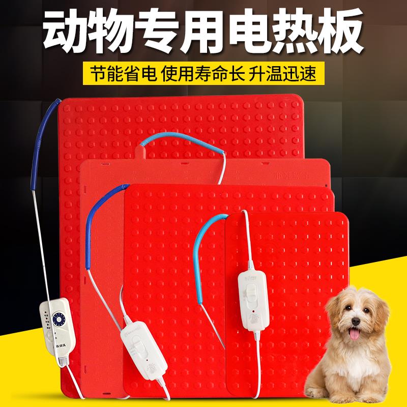 宠物电热板仔猪保温板狗用电热板蛇猫加热毯小型动物取暖设备调温