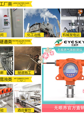 固定式有毒有害气体报警器  ES10B-LCD气体浓度显示仪