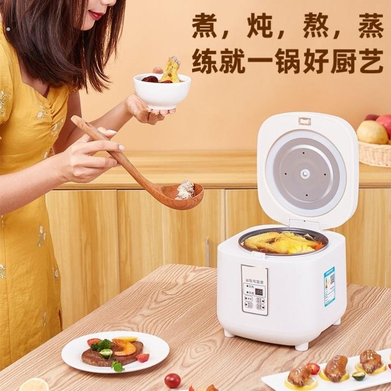 1人特小号电饭锅一人食小锅快煮锅火锅专用小锅2到3人预约小容量