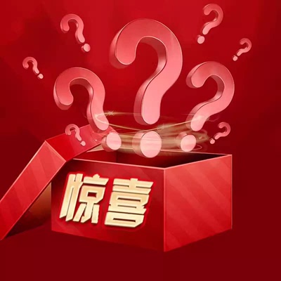 【老板娘悦悦专享】90白鸭绒三合一穿内丹冲锋羽绒H065