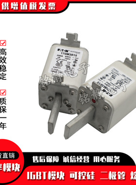 170M3758 170M3759 170M3760 170M3761 170M3762熔断器170M3763