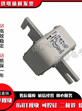 170M6307 170M6203 170M6204 170M6205 170M6206熔断器170M6207
