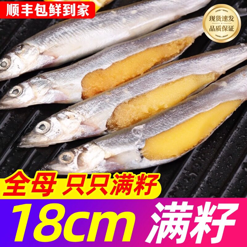 多春鱼满籽新鲜商用海鱼图片