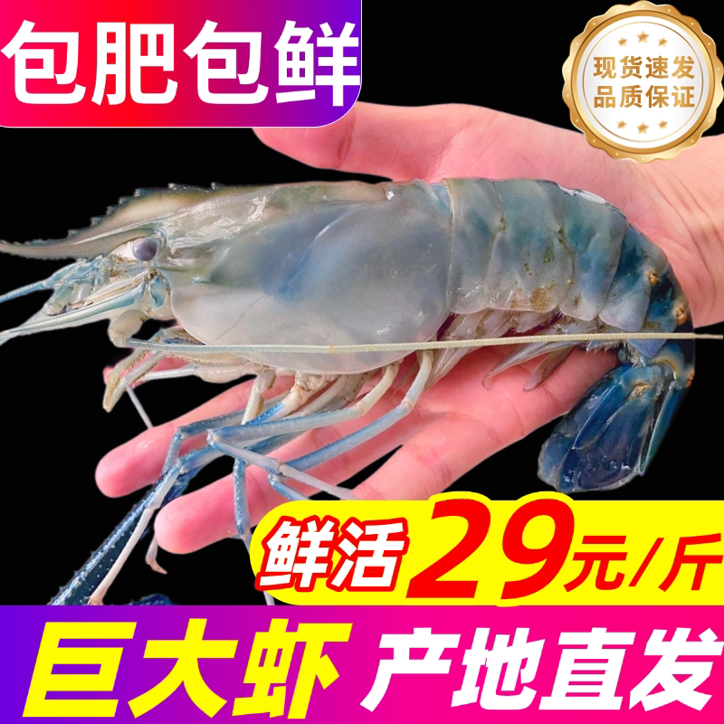罗氏虾鲜活超大罗氏沼虾新鲜速冻大头虾特大河虾金钱虾淡水虾生鲜图片