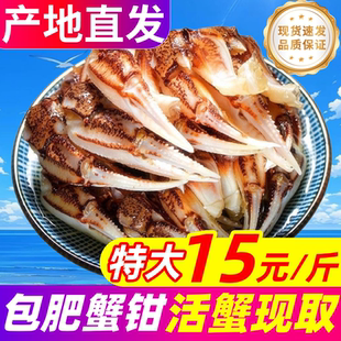 沙蟹钳螃蟹腿特大梭子蟹钳新鲜蟹腿脚醉蟹钳商用原料捞汁小海鲜