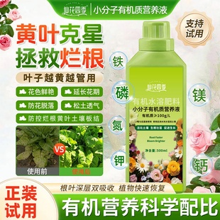 小分子有机营养液植物通用型家庭园艺促生长改善黄叶温和不伤根苗
