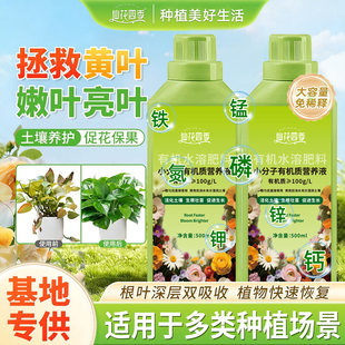 小分子有机营养液家庭园艺促生长改善黄叶温和不伤根苗植物通用型