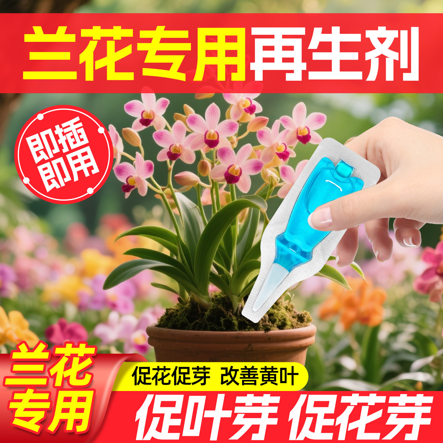 兰花再生剂植物浓缩营养液蝴蝶兰绿植盆栽促开花箭免稀释花草肥料,鲜花速递/花卉仿真/绿植园艺,家庭园艺肥料,淘宝优惠券,粉丝福利购,淘宝优惠卷