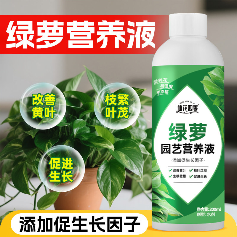 绿萝营养液肥料专用肥绿植物盆栽园艺营养液家用土水培通用花肥料
