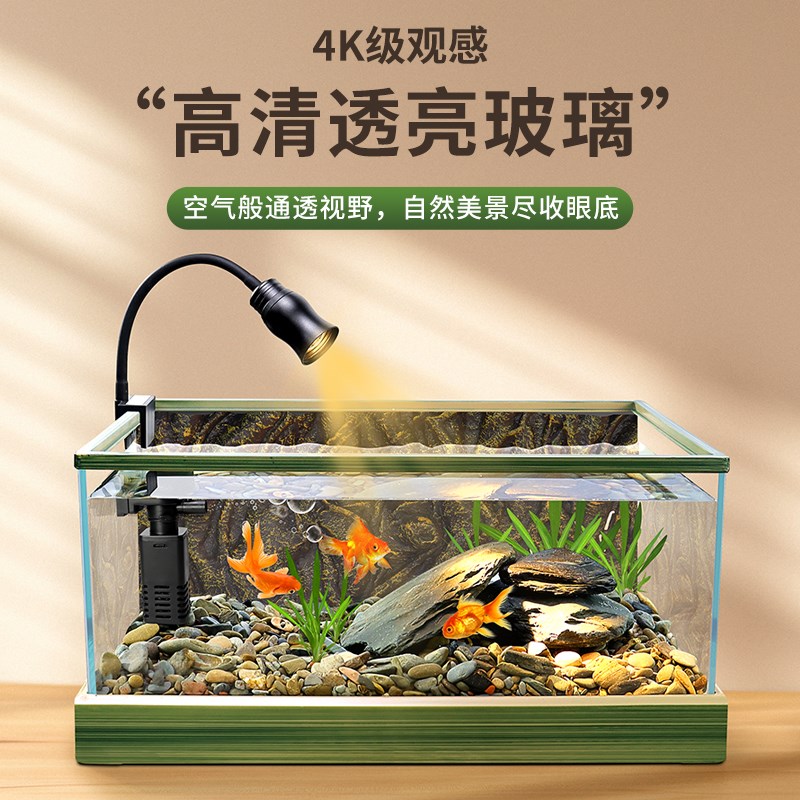 新款玻璃鱼缸原生南美溪流缸家用客厅小型热带雨林造景生态乌龟缸