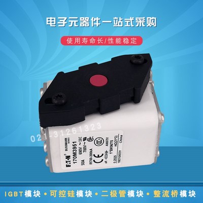 170M3931 3951 3952 3953 3954 3955 3956 3957巴斯曼快速熔断器
