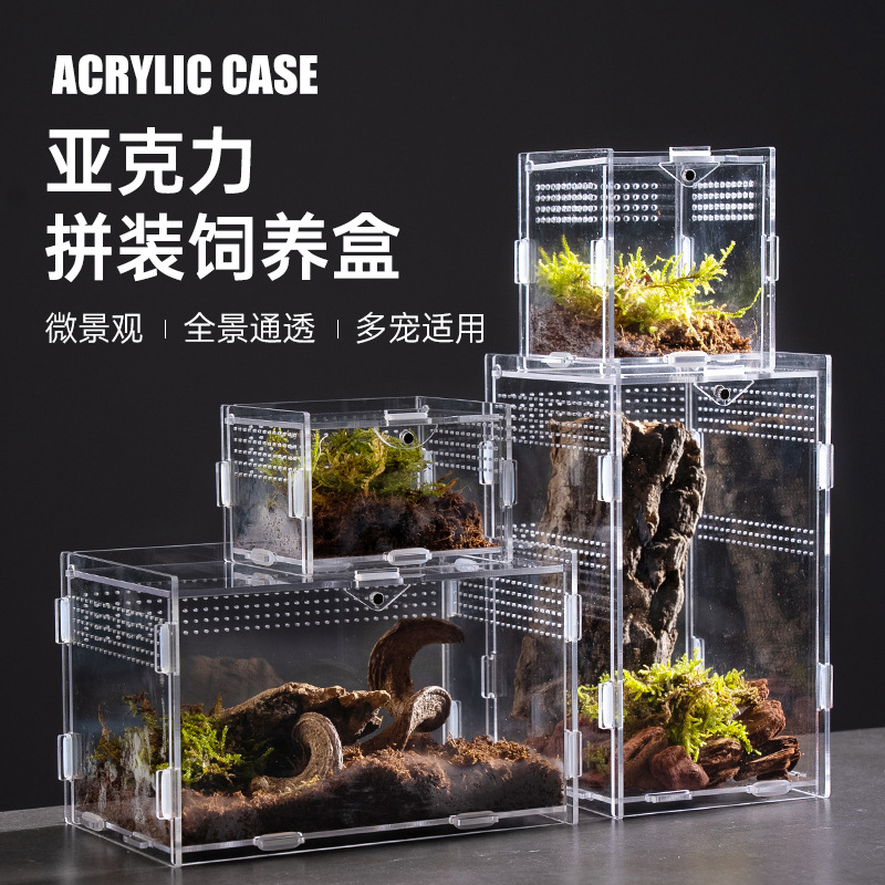 子盒子桌面亚克力昆虫观察爬宠饲养箱观赏蜗牛饲养盒蛇蝎守宫蜥蜴