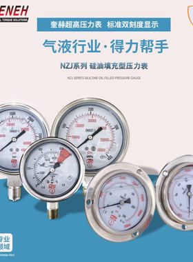 耐震压力表 NZJ-060704N压力仪表耐高温不锈钢油表液压表