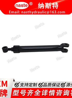 液压油缸 AH219632