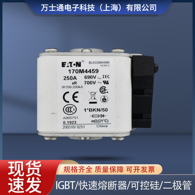 170M4458 170M4459 170M4460 170M4461 170M4462 170M4463熔断器