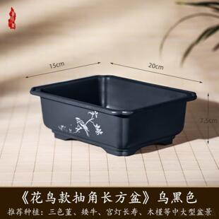 小叶簕竹专用花盆家用长形花盆长方形马槽盆多肉绿植榕树盆栽盆景