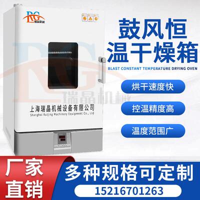 电中新恒温试验箱高低温鼓风立式不锈钢干燥箱热风循环工业烘箱