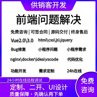 前端问题解决远程代码调试bug修复技术指导定制开发vue优化咨询