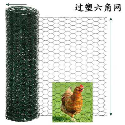 PVC六角网鸡笼网 过塑铁丝网六角金属涂塑网Hexagonal wire mesh