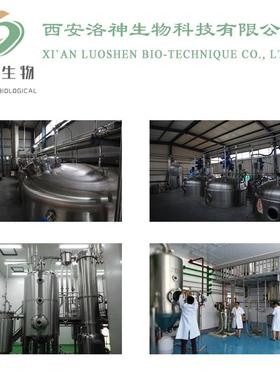 %壳聚糖季铵盐壳聚糖水溶性甲壳素HACC--现货包邮kg起订