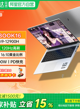 雷神T-BOOK16D酷睿i9标压16英寸高性能商务办公全能本轻薄便携出差编程设计作图游戏笔记本电脑196