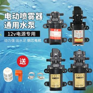 高压自吸水泵 12v雨露水泵电动喷雾器隔膜泵微型洗车水泵家用220v