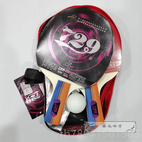 高档正品友谊729乒乓球拍胶赛套装对训拍乒乓球初学者反练比直拍