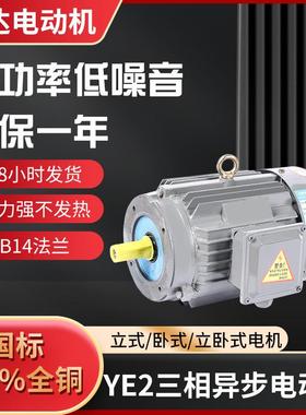 YE2-80M1-2全铜电动机B14法兰电机0.75W-315W马达电机厂家直供