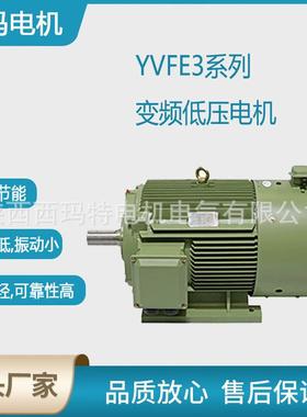 西安电机YV3-4001-10极250W大外圆变频交流三相异步电动机