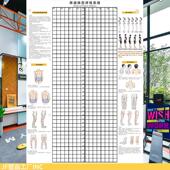 JF体姿体态评估系统舞蹈医诊健身房高低肩静态站立姿势身体测图表