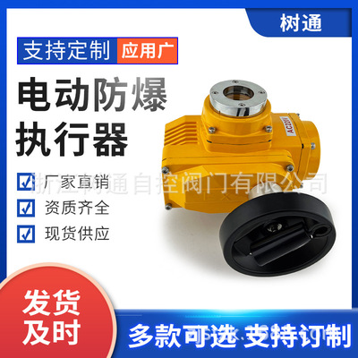 定制阀门 电动防爆执行器 电动执行器 精小型电动执行器