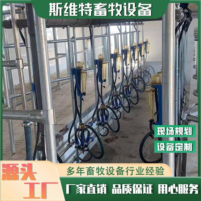 分流式计量挤奶厅24-64位牧场养殖场智能挤奶机厂家可安装指导