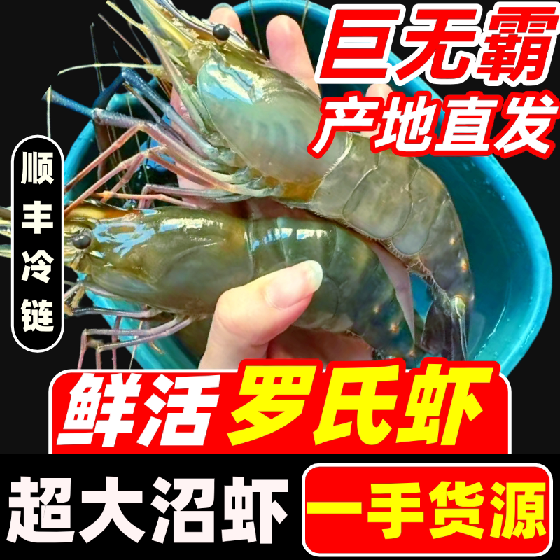罗氏虾沼虾新鲜鲜活熟冻冷冻大头虾基围虾巨型虾超大虾水产淡水虾图片