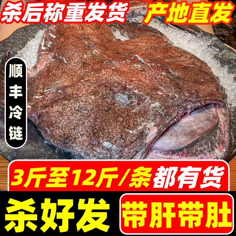 安康鱼新鲜鱼肝鱼肚蛤蟆鱼魔鬼鱼冷冻灯笼鱼深海特大丑鱼海鲜水产