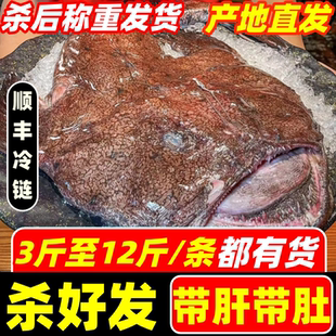 安康鱼新鲜鱼肝鱼肚蛤蟆鱼魔鬼鱼冷冻灯笼鱼水产深海海鲜特大丑鱼