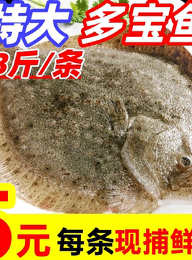 多宝鱼特大比目鱼鲜活速冻鲽鱼八宝鱼偏口鱼鸦片鱼深海鱼海鲜水产