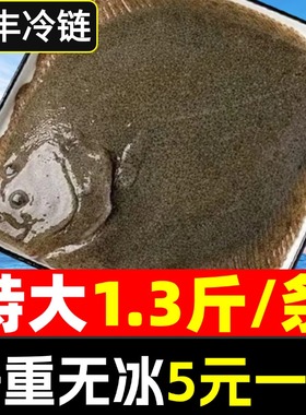 多宝鱼特大比目鱼鲜活速冻八宝鱼偏口鱼鸦片鱼鲽鱼深海鱼海鲜水产